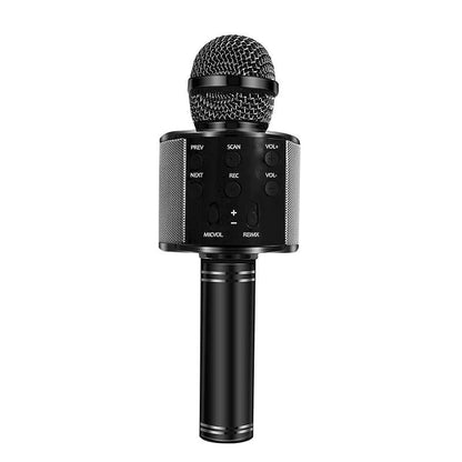 Love Karaoke Microphone (New Upgrade)